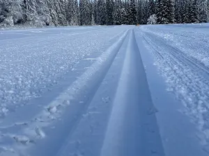 Prodej rodinného domu, Kvilda, 408 m2