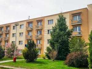 Prodej bytu 3+1, Chroustovice, Turovská, 66 m2