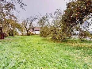 Prodej pozemku pro bydlení, Blížejov, Ke Hřbitovu, 1462 m2