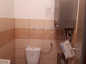 Pronájem obchodního prostoru, Kravaře, Opavská, 41 m2