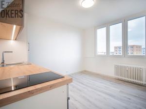 Pronájem bytu 2+1, Roudnice nad Labem, Alej 17. listopadu, 59 m2
