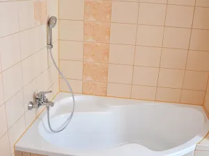Pronájem bytu 2+1, Plzeň, Zámečnická, 55 m2