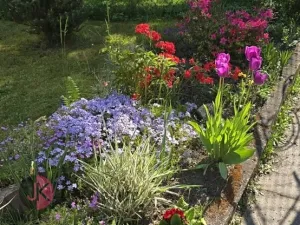 Prodej chaty, Bukovany, 60 m2