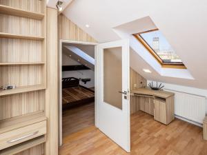 Pronájem bytu 2+kk, Opava - Předměstí, Mánesova, 48 m2