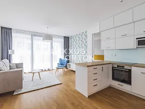 Pronájem bytu 2+kk, Praha - Karlín, Pernerova, 61 m2