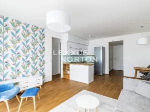 Pronájem bytu 2+kk, Praha - Karlín, Pernerova, 61 m2