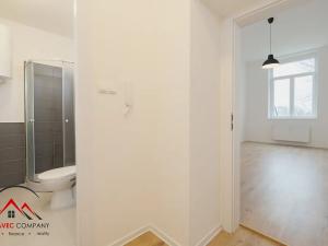 Pronájem bytu 1+kk, Ostrava, Palackého, 29 m2