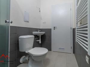 Pronájem bytu 1+kk, Ostrava, Palackého, 28 m2
