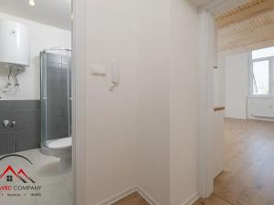 Pronájem bytu 1+kk, Ostrava, Palackého, 28 m2