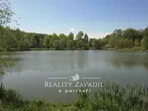 Prodej rybníku, Žabeň, 31140 m2