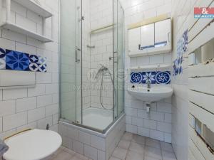 Pronájem bytu 2+1, Cheb, Trčky z Lípy, 48 m2