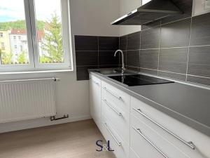 Pronájem bytu 2+1, Ústí nad Labem, Alešova, 68 m2