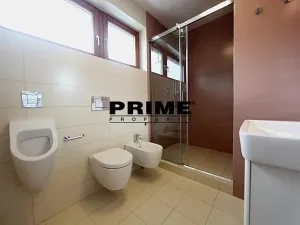 Pronájem rodinného domu, Praha - Jinonice, U panské zahrady, 496 m2
