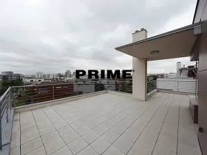 Pronájem rodinného domu, Praha - Jinonice, U panské zahrady, 496 m2