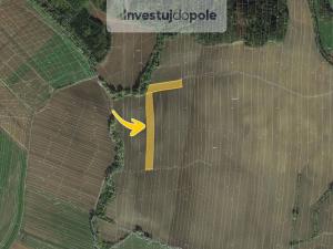 Prodej pole, Mutějovice, 2150 m2