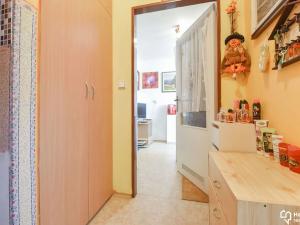 Prodej bytu 1+kk, Sobotín, 46 m2