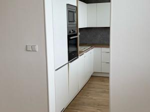 Pronájem bytu 2+kk, Ostrava - Hrabůvka, Dr. Martínka, 57 m2