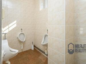 Pronájem výrobních prostor, Hrádek nad Nisou, Legionářská, 3600 m2