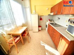 Prodej bytu 1+1, Mladá Boleslav, Na Radouči, 44 m2
