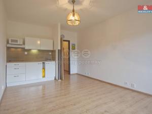 Pronájem bytu 1+kk, Karviná - Mizerov, Studentská, 30 m2