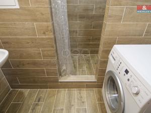 Pronájem bytu 1+kk, Karviná - Mizerov, Studentská, 30 m2