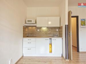 Pronájem bytu 1+kk, Karviná - Mizerov, Studentská, 30 m2