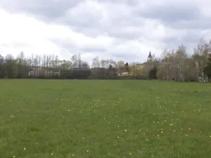 Dražba louky, Tachov, 45730 m2
