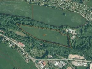 Dražba louky, Tachov, 45730 m2