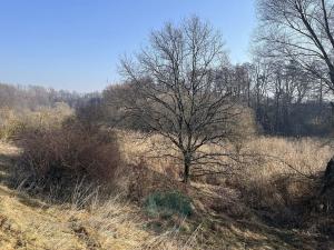 Prodej louky, Praha - Královice, 698 m2