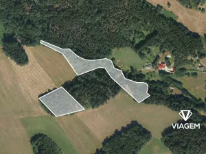 Prodej podílu lesa, Plavy, 1113 m2