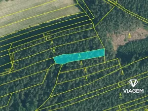 Prodej lesa, Nekmíř, 2402 m2