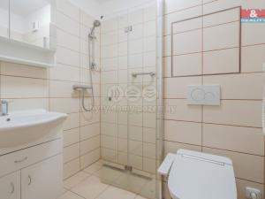 Prodej rodinného domu, Sezimovo Ústí, Vrchlického, 148 m2