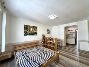 Pronájem bytu 1+kk, Praha - Vršovice, Sevastopolská, 33 m2