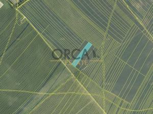 Prodej pole, Moravská Nová Ves, 13376 m2