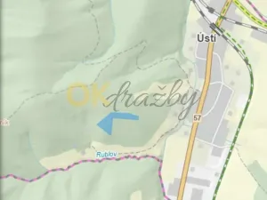 Dražba pozemku, Ústí, 11769 m2