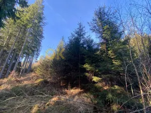 Dražba pozemku, Ústí, 11769 m2