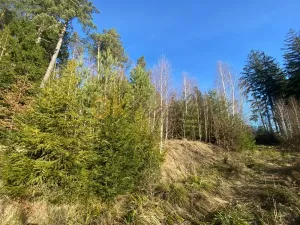 Dražba pozemku, Ústí, 11769 m2