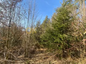 Dražba pozemku, Ústí, 11769 m2