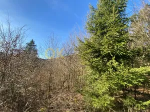 Dražba pozemku, Ústí, 11769 m2