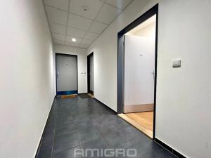 Pronájem bytu 2+kk, Brno, Vídeňská, 54 m2