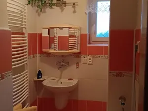 Prodej rodinného domu, Vikýřovice, Petrovská, 141 m2