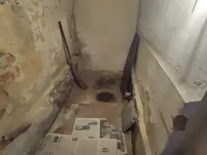 Prodej rodinného domu, Hradec-Nová Ves, 99 m2