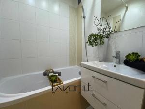 Prodej bytu 2+1, Ostrava, Krakovská, 50 m2