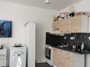 Prodej bytu 1+kk, Plzeň, Sokolovská, 36 m2