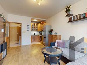 Prodej bytu 2+kk, Praha - Žižkov, Jeseniova, 46 m2