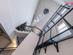 Pronájem kanceláře, Sulice - Želivec, Rovná, 135 m2