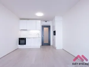 Pronájem bytu 1+kk, Praha - Žižkov, Jana Želivského, 35 m2