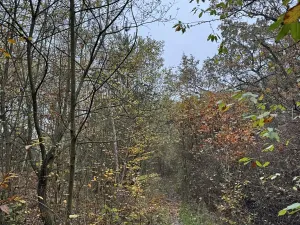 Prodej pozemku, Praha - Nové Město, 9174 m2