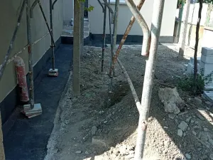 Prodej rodinného domu, Gyulyovtsa, Bulharsko, 100 m2