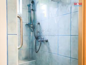 Prodej rodinného domu, Sušice - Sušice II, Jana Jáši, 160 m2